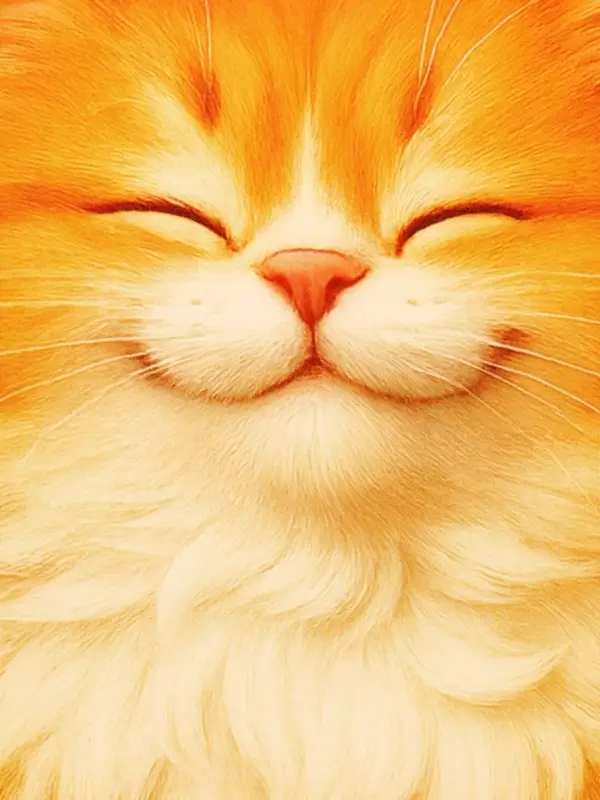 Ланч-бокс прямоугольный &laquo;Мой размерчик&raquo;, 1200 мл