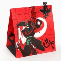 Набор крафтовых пакетов со стикерами, Человек-паук, 18х22х12 см