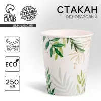 Стакан одноразовый бумажный &laquo;Природа&raquo;, 250 мл