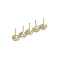 Гвозди ТУНДРА, декоративные, обивочные, фактурные, 11&times;16 мм, золото, фасовка 50 шт.