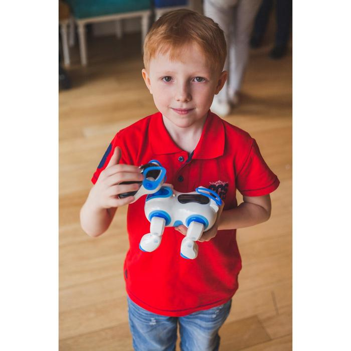 Робот собака &laquo;Ки-Ки&raquo;, программируемый, на пульте управления, интерактивный: звук, свет, танцующий, музыкальный, на батарейках, на русском языке, синий