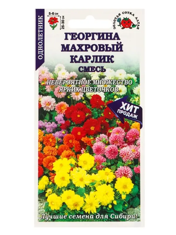 Семена Георгина Махровый карлик смесь /Сотка/ 0,2г/ h-25-30см d-5-6см/*1500