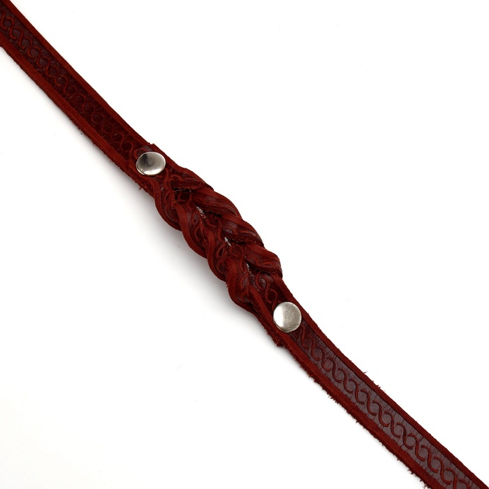 Поводок кожаный однослойный тиснёный, удлиненный, 2 м х 1,6 см коричневый Поводок кожаный однослойный тиснёный, удлиненный, 2 м х 1,6 см коричневый