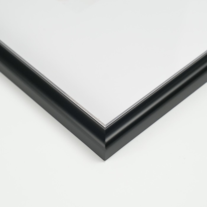 Фоторамка пластик Gallery 29.7х42 см, (А3) 636477, чёрный с серебром (пластиковый экран)