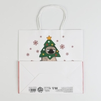Пакет подарочный новогодний &laquo;А вас также&raquo;, 22 х 22 х 11 см, Новый год