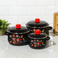 Набор эмалированных кастрюль &laquo;Букет тюльпанов&raquo;, 3 предмета: 2 л, 4 л, 5,5 л, индукция