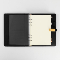 Ежедневник со встроенным зарядным устройством 8000 мАh и флешкой 16 ГБ &laquo;Лев&raquo;, 17,5 х 23,5 см