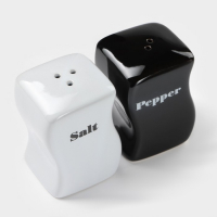 Набор керамический для специй Magistro &laquo;Инь-Янь&raquo;, 2 предмета: солонка, перечница, 150 мл