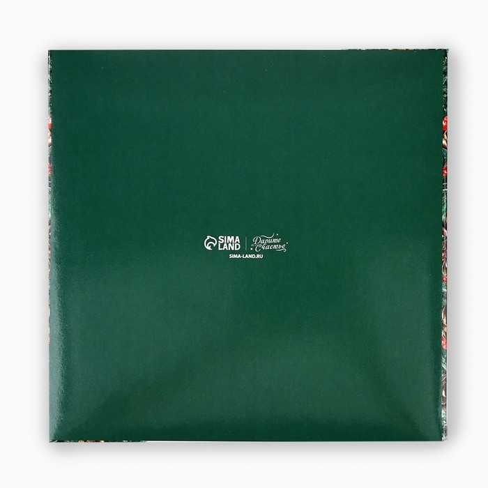 Коробка под 16 конфет с ячейками «Новогодняя ботаника», 19 х 19 х 3 см, Новый год Коробка под 16 конфет с ячейками «Новогодняя ботаника», 19 х 19 х 3 см, Новый год