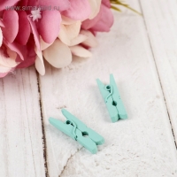 Набор декоративных мини-прищепок "Рукоделие" 18 шт, микс