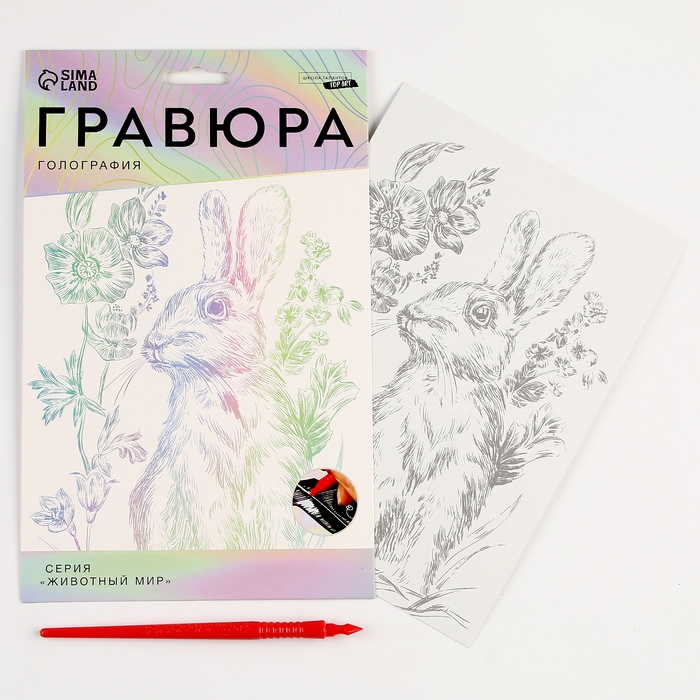 Гравюра. Набор гравюр &laquo;Звери&raquo;, А5, 4 шт