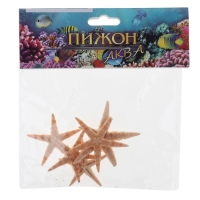 Набор из 5 морских звезд, размер каждой 3-5 см Набор из 5 морских звезд, размер каждой 3-5 см