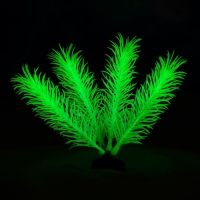 Растение искусственное аквариумное, светящееся, 10 см, зелёное Растение искусственное аквариумное, светящееся, 10 см, зелёное