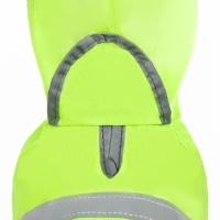 Комбинезон для собак, демисезонный с козырьком, размер S (ДС 28, Ог 41, ОШ 31 см), зелёный Комбинезон для собак, демисезонный с козырьком, размер S (ДС 28, Ог 41, ОШ 31 см), зелёный