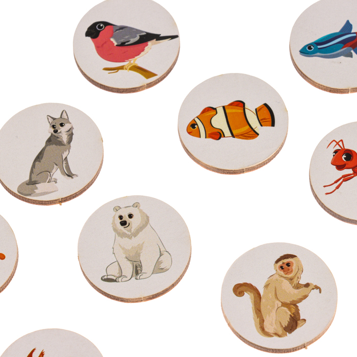 Сортер &laquo;Запоминаем животных&raquo;