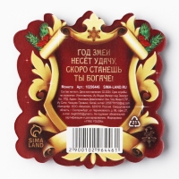 Монета новогодняя &laquo;Монета богатства&raquo; на Новый год, диам. 2,2 см