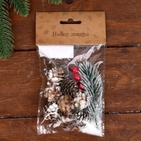 Набор новогоднего декора &laquo;Морозные шишки&raquo;
