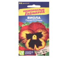 Семена цветов Виола "Пауэр Пламя", F1, 5 шт. Семена цветов Виола "Пауэр Пламя", F1, 5 шт.