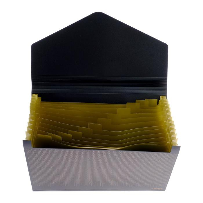 Папка-кратотека 12 отделений, А4, на резинке, deVENTE My gold, 700 мкм