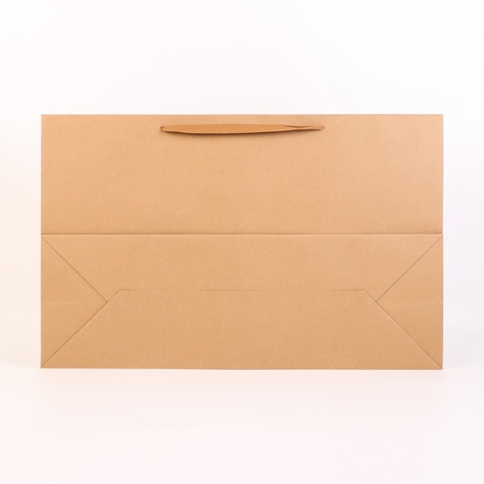 Пакет крафт без печати, 60 х 38 х 20 см 210 гр