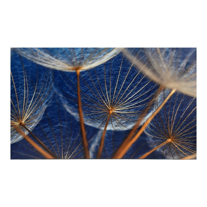 Картина Картина "Легкость" 60*100 см