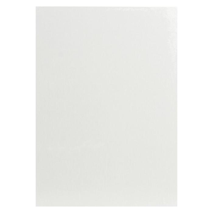 Холст на картоне 25 х 35 см, хлопок 100%, акриловый грунт, мелкозернистый, Гамма "Студия"