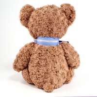 Мягкая игрушка &laquo;Медведь&raquo;, кудрявый, 55 см, цвет коричневый