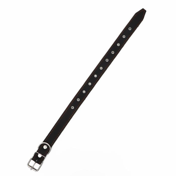 Ошейник комбинированный кожа/брезент, безразмерный, 70 х 3,5 см, ОШ 25-60 см, чёрный Ошейник комбинированный кожа/брезент, безразмерный, 70 х 3,5 см, ОШ 25-60 см, чёрный