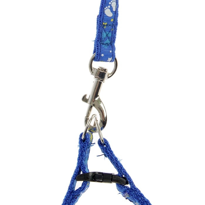 Шлейка с поводком &laquo;Цветные следы&raquo;, 23-35 см, ширина 1 см, поводок 120 см, синяя