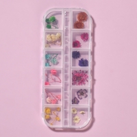 Сухоцветы для декора ногтей &laquo;Ассорти&raquo;, объёмные, 12 видов, в футляре, разноцветные