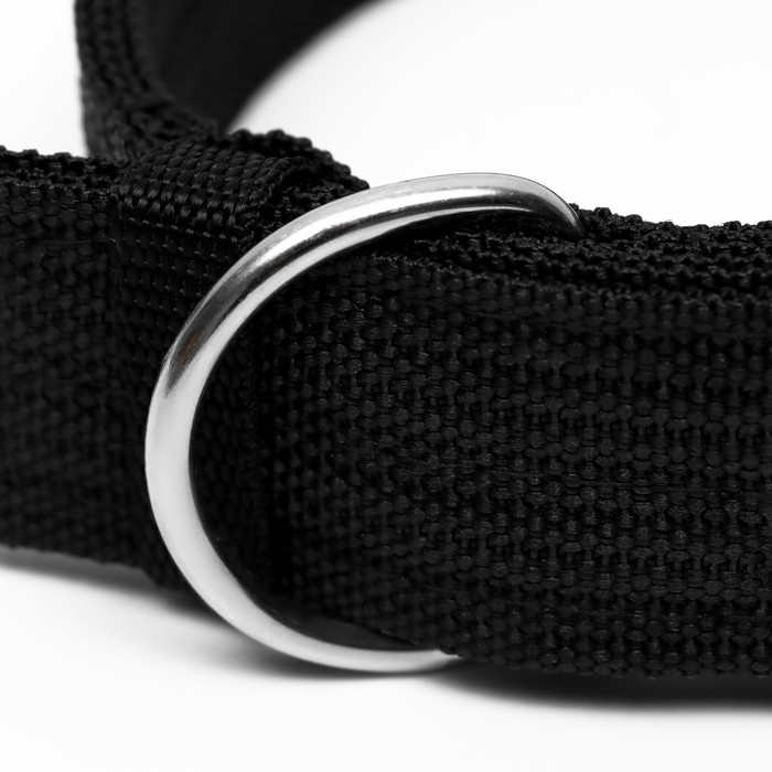 Ошейник четырехслойный, 64 х 4 см, ОШ 50-58 см, полиэстер, чёрный Ошейник четырехслойный, 64 х 4 см, ОШ 50-58 см, полиэстер, чёрный