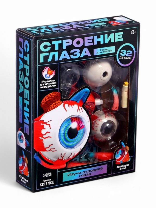 ЭВРИКИ Набор для опытов "Строение глаза", анатомическая модель