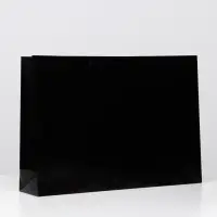 Пакет ламинированный, чёрный, 38 х 53,5 х 13 см