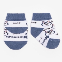 Набор носков Крошка Я &laquo;Хаски&raquo;, 2 пары, 12-14 см