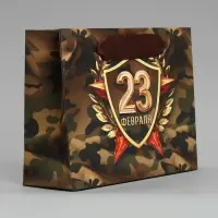 Пакет подарочный ламинированный, упаковка, &laquo;С 23 февраля&raquo;, S 15 х 12 х 5.5 см