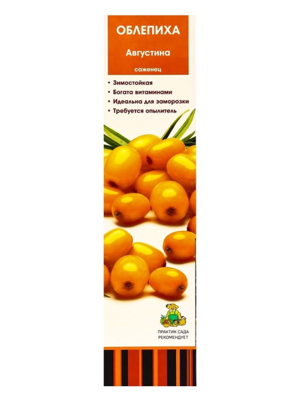 Облепиха "Августина", туба, 1 шт, Весна 2025