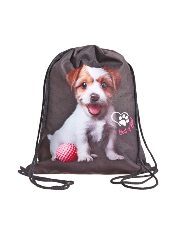 Мешок для обуви, 435&times;360 мм, Stavia (плотность 600D) &laquo;Щенок&raquo;