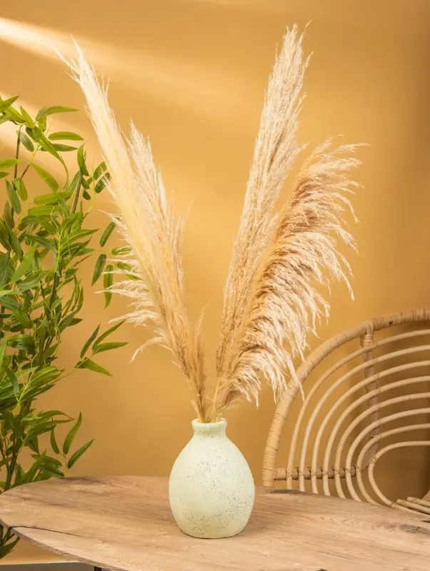 Ваза терракота &laquo;Эдесса&raquo;, 7&times;17&times;23 см, керамика