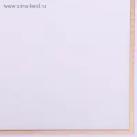 Плёнка для цветов, 57&times;57 см