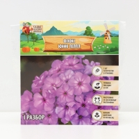 Флокс &laquo;Юник Пеппл&raquo; корневище в пакете с торфогрунтом, р-р I, 2 шт.