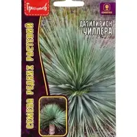 Семена цветов Дазилирион Уиллера 10 шт. / НОВИНКА  12.29 г.