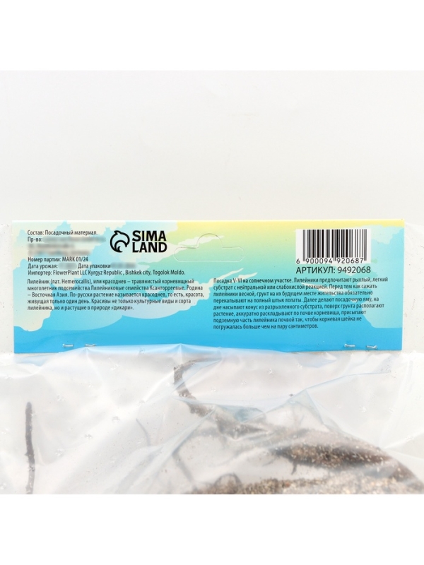 Лилейник Pink Vision, многолетник, корневище в пакете с торфогрунтом, р-р I, 1 шт.