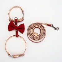 Комплект амуниции "Шахматный джентельмен", поводок 120 х 1 см, красный