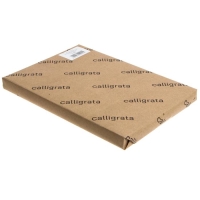 Картон переплётный 2.5 мм, 21 х 30 см, 10 листов, 1500 г/м", серый Картон переплётный 2.5 мм, 21 х 30 см, 10 листов, 1500 г/м", серый