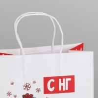 Пакет подарочный новогодний &laquo;А вас также&raquo;, 22 х 22 х 11 см, Новый год