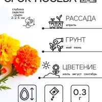 Семена цветов Бархатцы отклонённые "Петит", смесь, 0,3 г