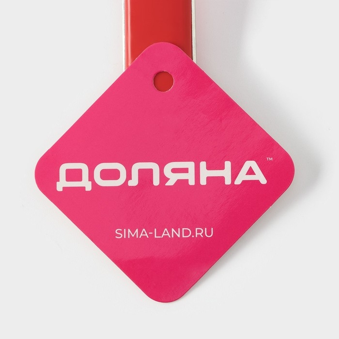 Сито для просеивания с ручкой Доляна &laquo;Хозяюшка&raquo;, d=10 см, цвет красный