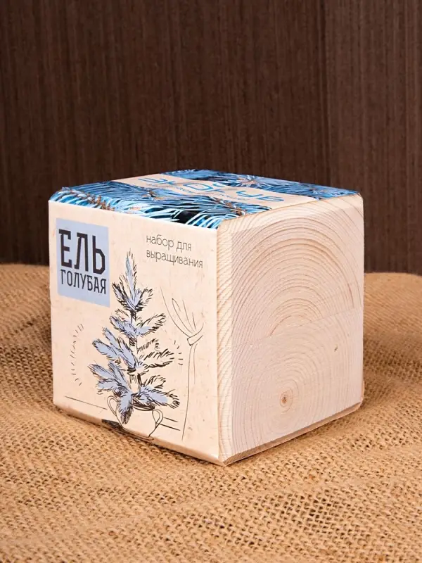 Набор для выращивания &laquo;Экокуб&raquo;, ель голубая