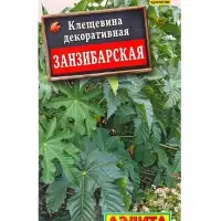 Семена цветов Клещевина Занзибарская , Ц/П,2 г