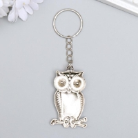 Брелок металл "Сова на веточке с ярким пузиком" МИКС 4,5х2,7 см Брелок металл "Сова на веточке с ярким пузиком" МИКС 4,5х2,7 см